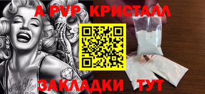 амф Гусев