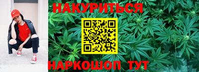 амф Гусев