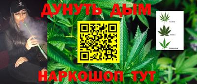 гидра Гусиноозёрск