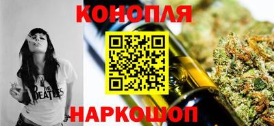 амф Гусев