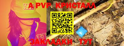 амф Гусев