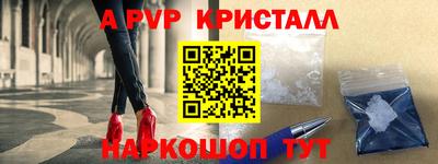 амф Гусев